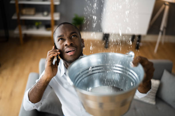 Best Flooded house restoration  in Green Valley, AZ