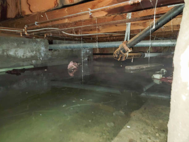 Best Sewage cleanup and water damage restoration  in Green Valley, AZ