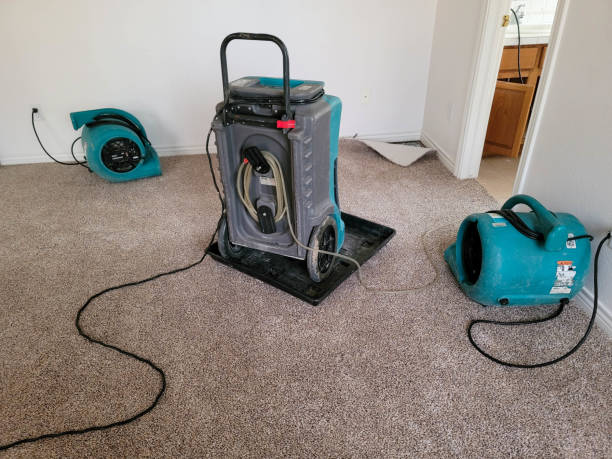  Green Valley, AZ Water damage restoration Pros