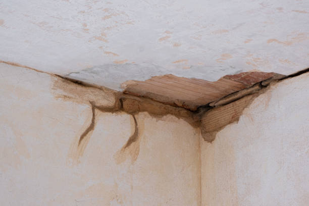 Best Ceiling water damage repair  in Green Valley, AZ