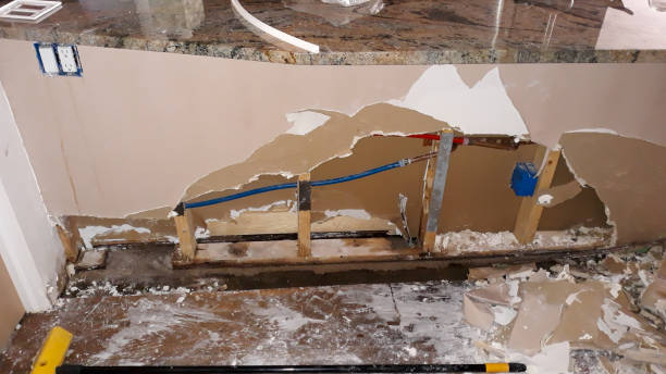 Best Water damage contractors near me  in Green Valley, AZ
