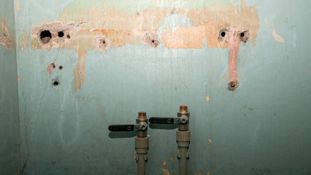 Best Fire Damage Restoration  in Green Valley, AZ