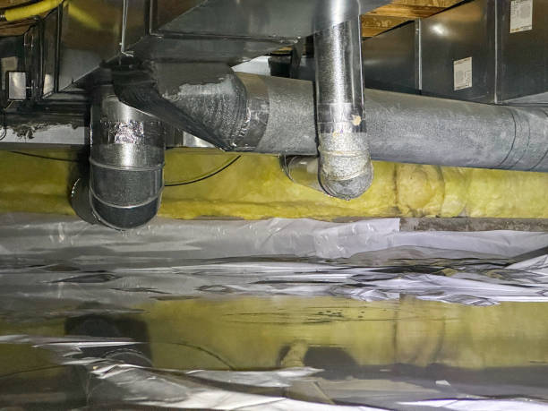 Best Basement water damage restoration  in Green Valley, AZ
