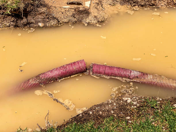 Best Water damage restoration near me  in Green Valley, AZ