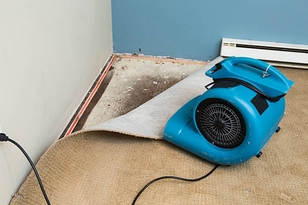 Best Flood damage cleanup  in Green Valley, AZ